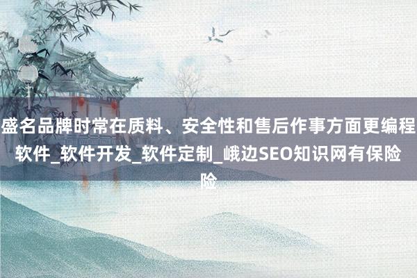 盛名品牌时常在质料、安全性和售后作事方面更编程软件_软件开发_软件定制_峨边SEO知识网有保险