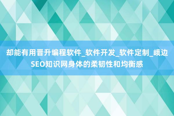 却能有用晋升编程软件_软件开发_软件定制_峨边SEO知识网身体的柔韧性和均衡感